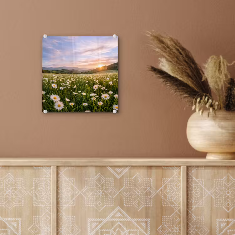 Madelief - Veld - Heuvels - Groen plexiglas 5mm klein -sfeer5