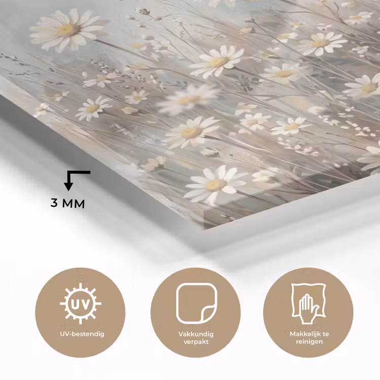 Madelief - Illustratie - Wit plexiglas 5mm klein -sfeer2
