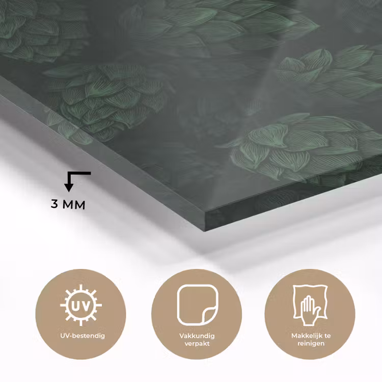 Donker - Groen - Hopbellen - Botanisch - Illustratie plexiglas 5mm klein 11 -sfeer2