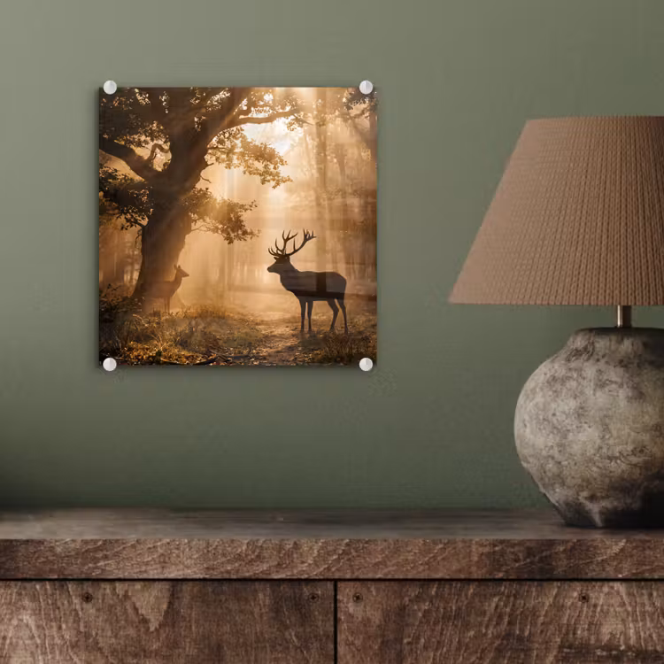 Hert - Bos - Mistig - Natuur - Goud plexiglas 5mm klein -sfeer3