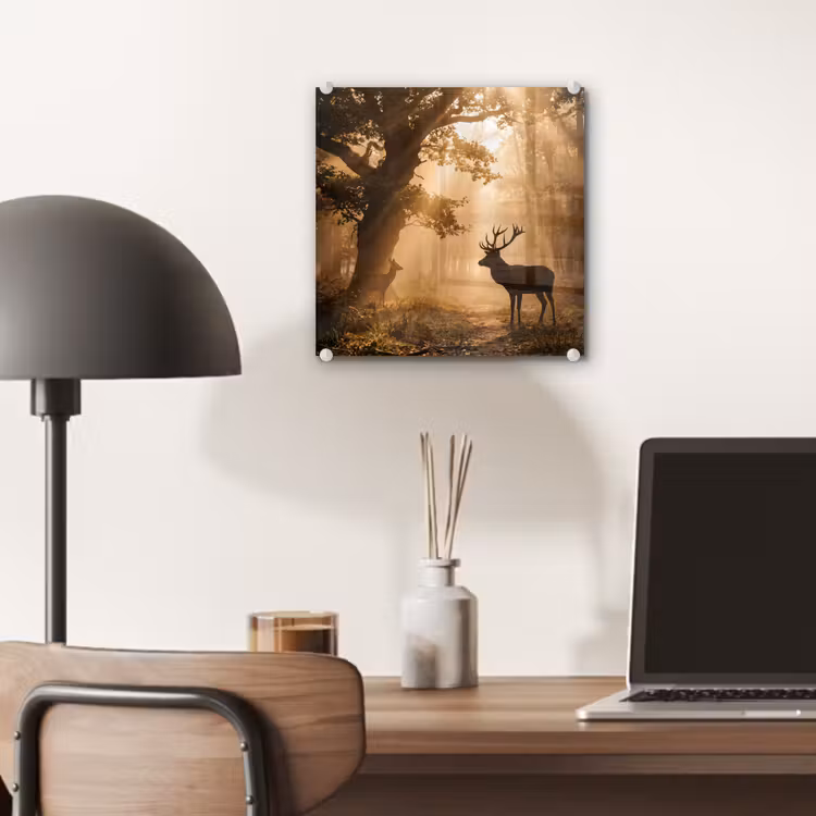 Hert - Bos - Mistig - Natuur - Goud plexiglas 5mm klein -sfeer6