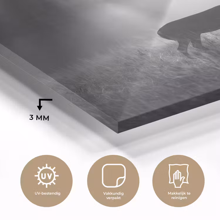 Hert - Bos - Zonnestralen - Zwart-wit - Natuur plexiglas 5mm klein -sfeer2