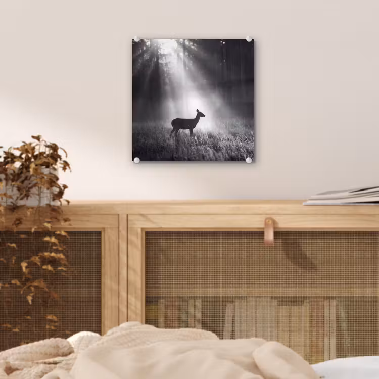 Hert - Bos - Zonnestralen - Zwart-wit - Natuur plexiglas 5mm klein -sfeer4