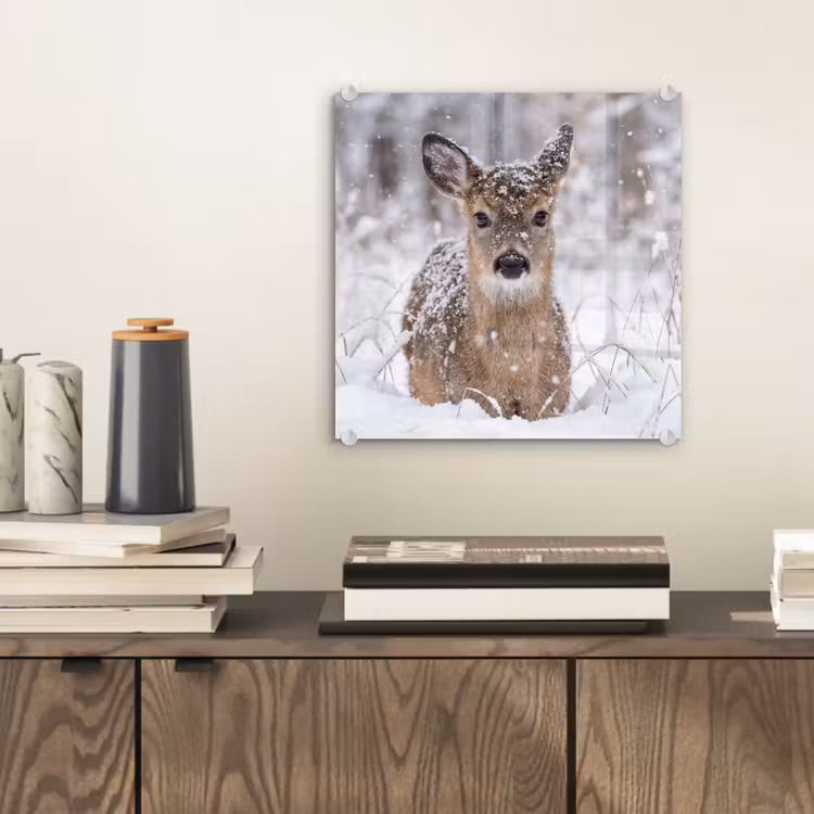 Hert - Sneeuw - Bos - Dieren - Vertederend plexiglas 5mm klein -sfeer1