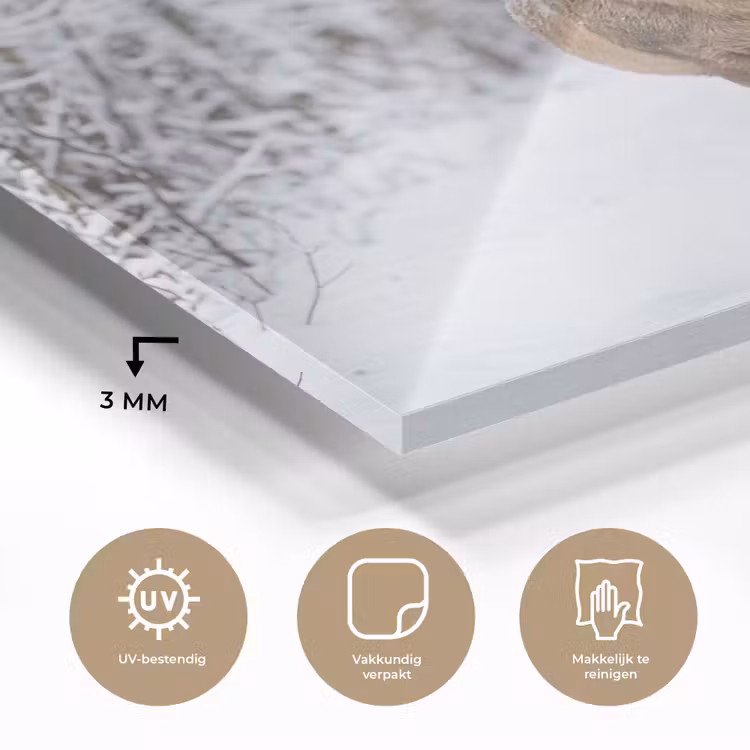 Hert - Winter - Bos - Natuur - Wit plexiglas 5mm klein -sfeer2