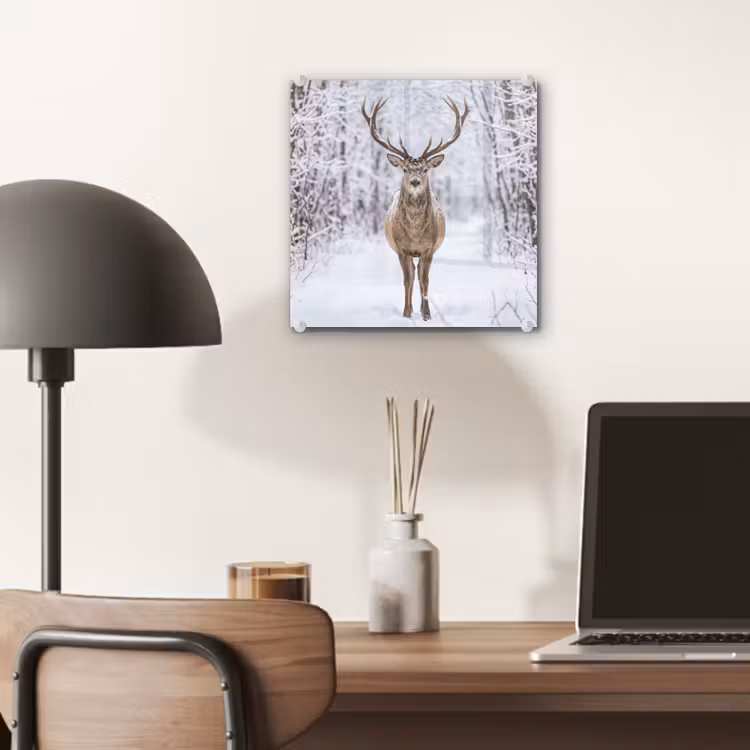 Hert - Winter - Bos - Natuur - Wit plexiglas 5mm klein -sfeer6