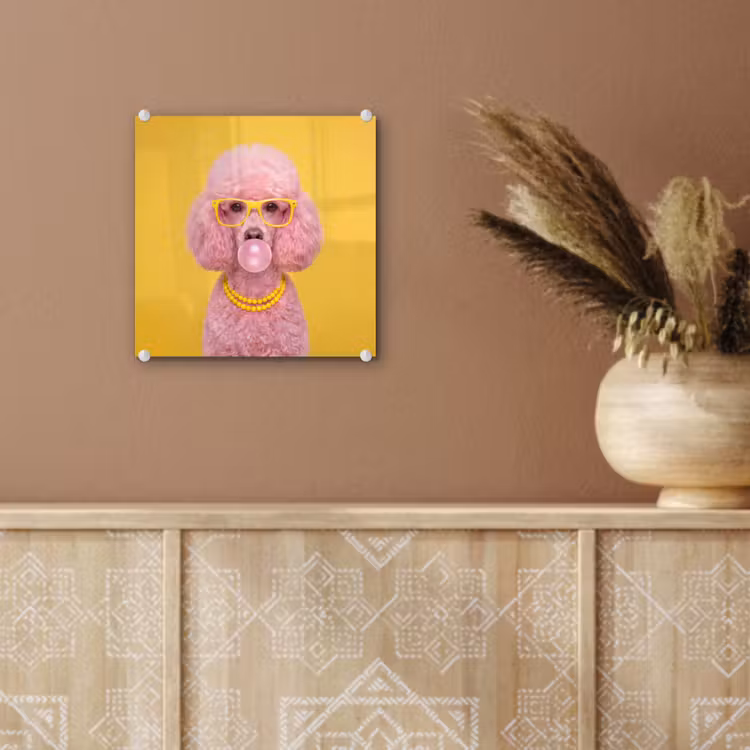 Hond - Kauwgum - Dieren - Modern - Roze plexiglas 5mm klein -sfeer5