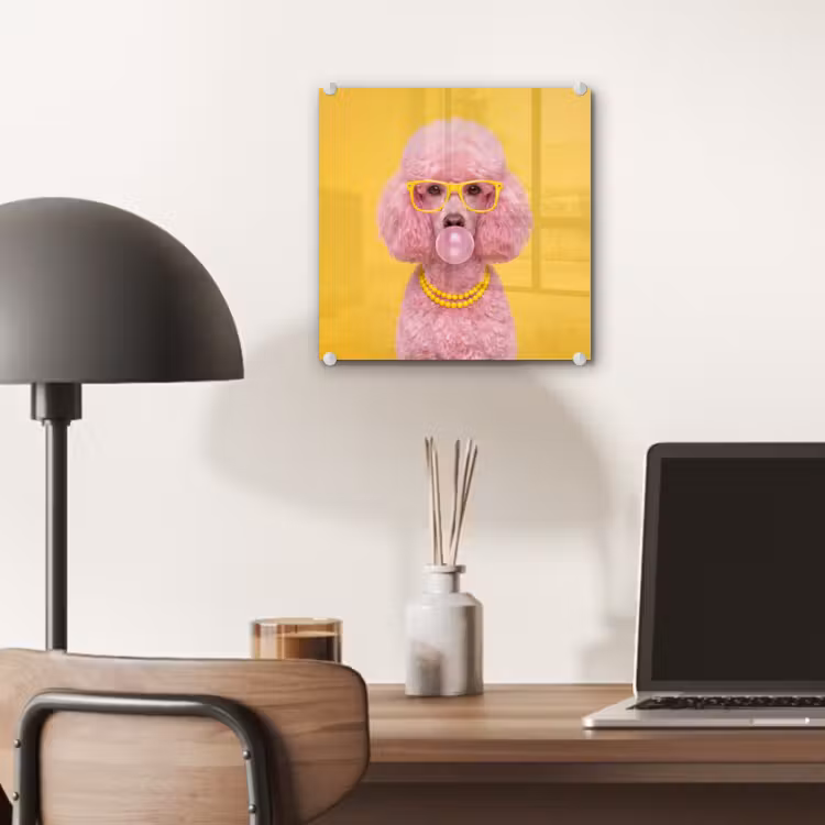 Hond - Kauwgum - Dieren - Modern - Roze plexiglas 5mm klein -sfeer6