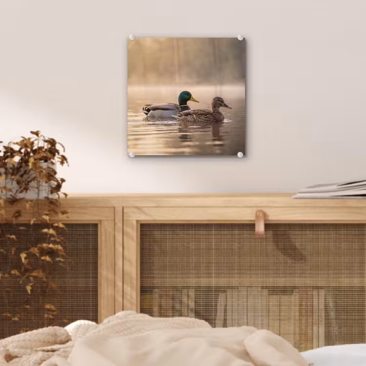 Eenden - Water - Mist - Natuur plexiglas 5mm klein -sfeer4
