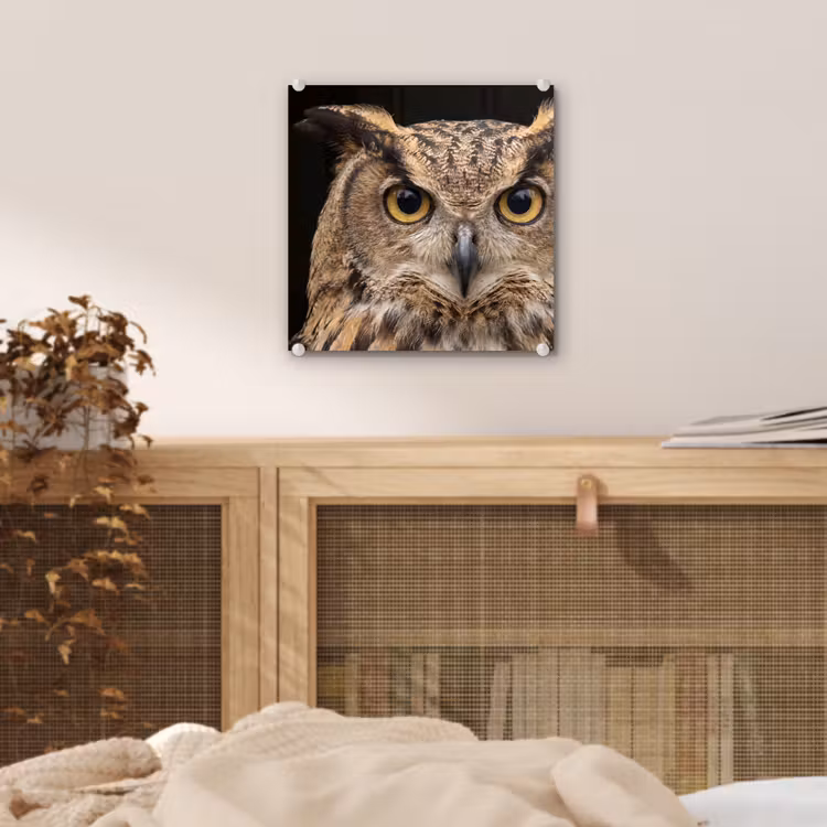 Oehoe - Uil - Portret - Bruin plexiglas 5mm klein -sfeer4