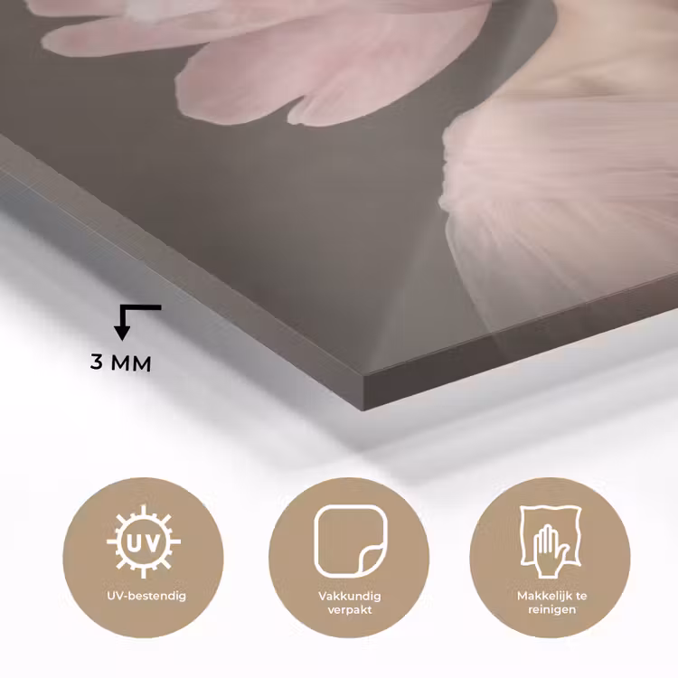 Gezicht - Roos - Roze plexiglas 5mm klein -sfeer2