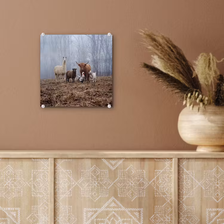 Boerderijdieren - Groep - Mist - Natuur - Rustiek plexiglas 5mm klein -sfeer5