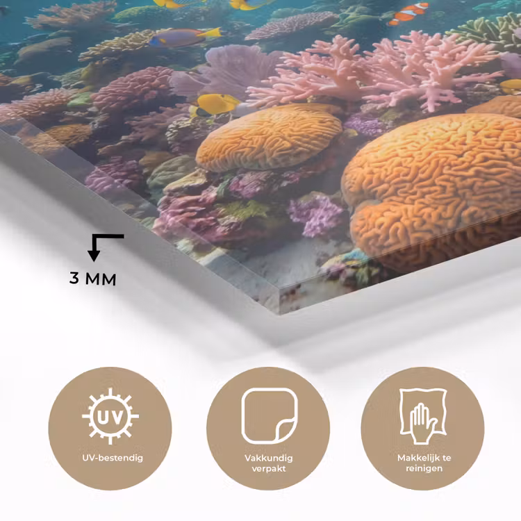 Vis - Koraal - Oceaan - Natuur - Kleurrijk plexiglas 5mm klein -sfeer2