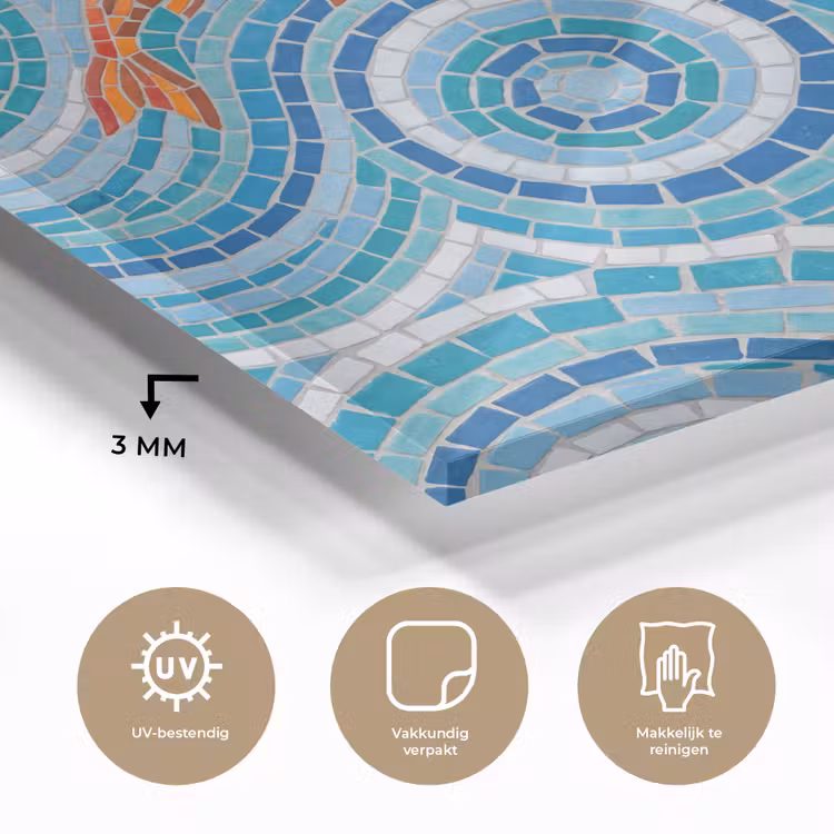 Vis - Mozaïek - Water - Decoratief - Blauw plexiglas 5mm klein -sfeer2
