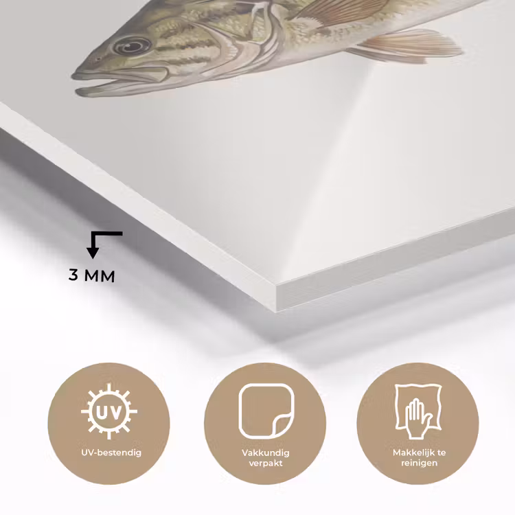 Vissen - Natuur - Vintage plexiglas 5mm klein -sfeer2