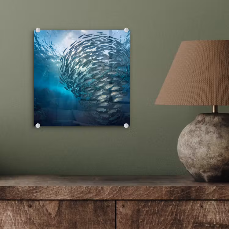Vis - School - Oceaan - Natuur - Blauw plexiglas 5mm klein -sfeer3