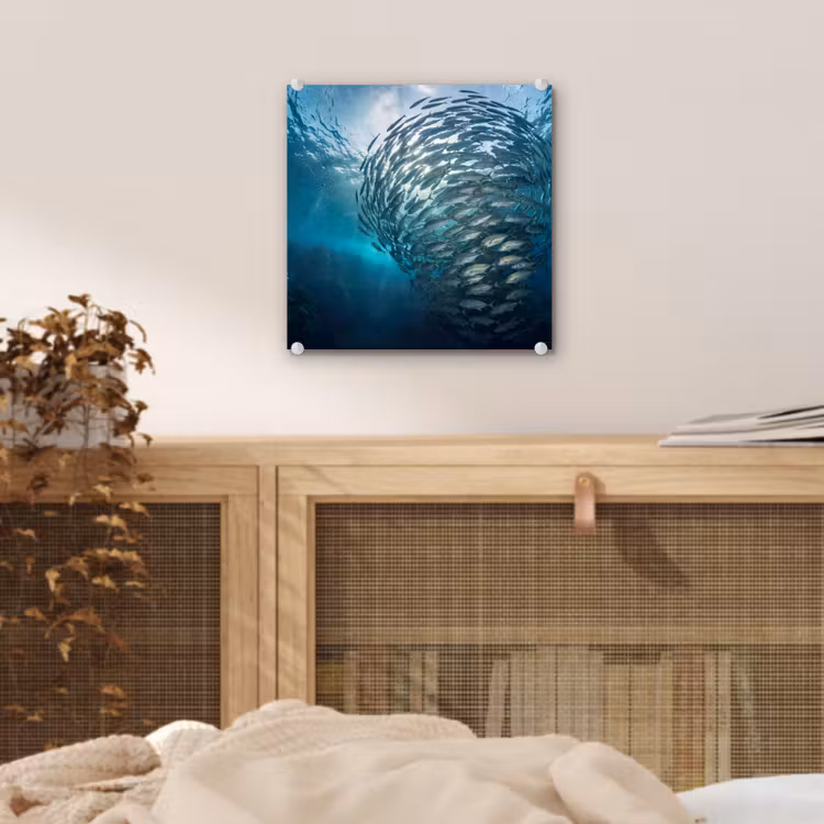 Vis - School - Oceaan - Natuur - Blauw plexiglas 5mm klein -sfeer4