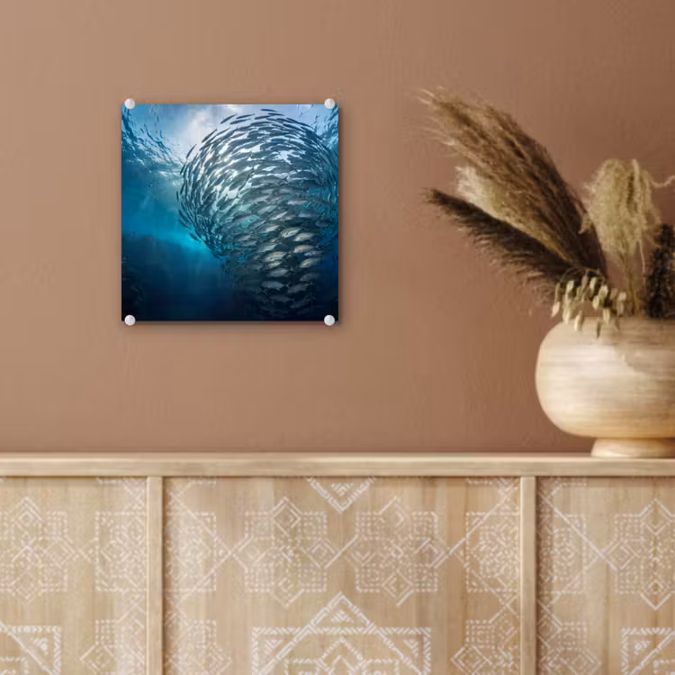 Vis - School - Oceaan - Natuur - Blauw plexiglas 5mm klein -sfeer5