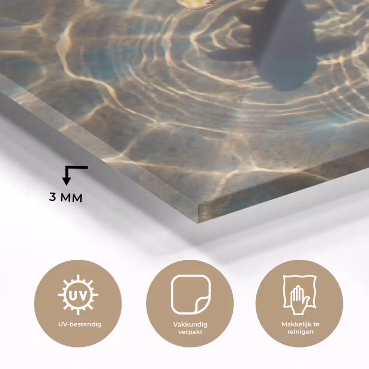 Vis - Water - Dieren - Oranje - Goud plexiglas 5mm klein -sfeer2