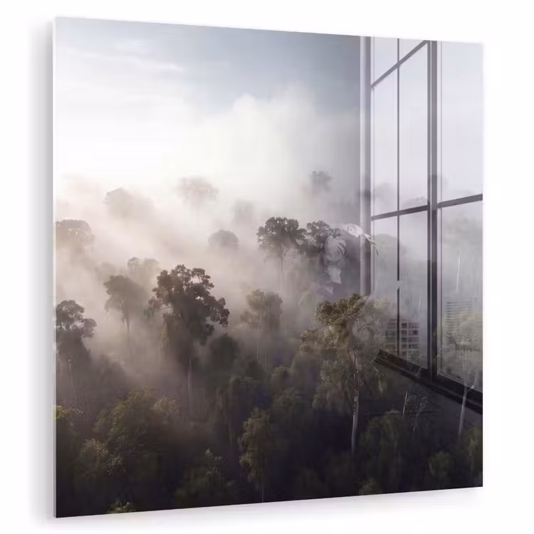 Bos - Mist - Natuur - Groen plexiglas 5mm klein -zzzproduct_nieuw
