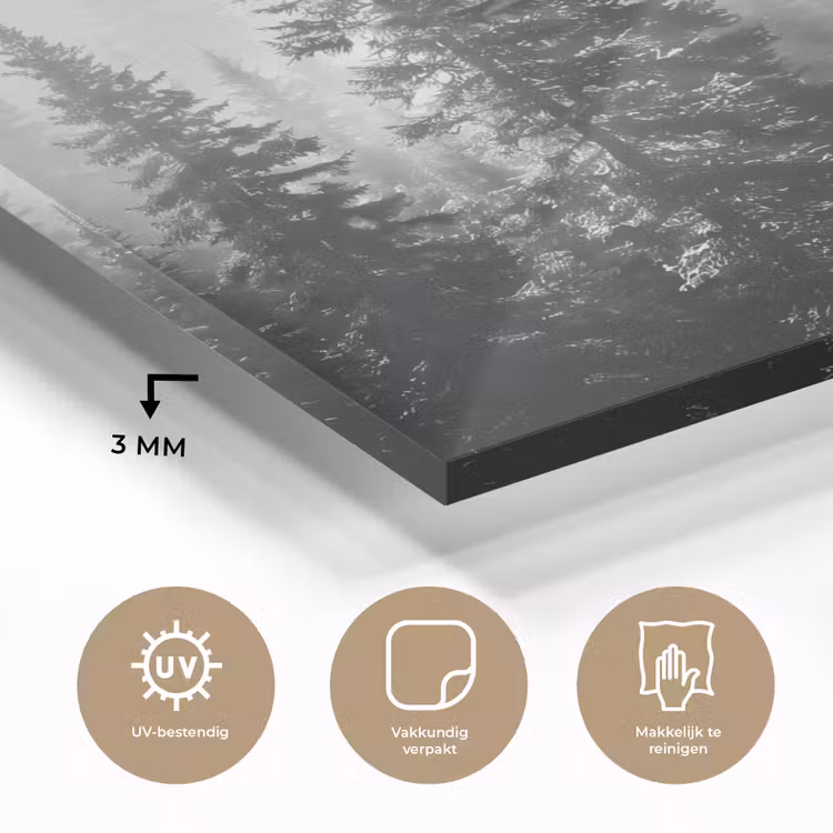 Bos - Mist - Winter - Monochroom - Natuur plexiglas 5mm klein -sfeer2