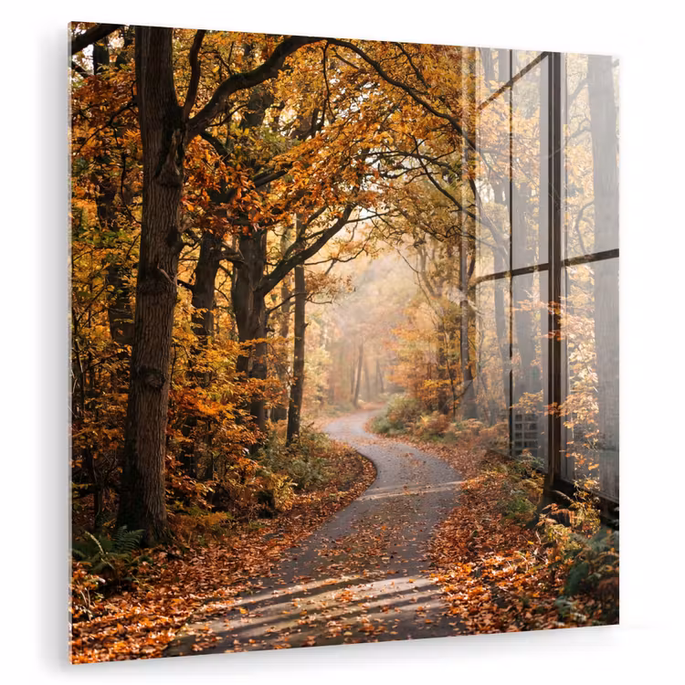 Bospad - Herfstbos - Bladeren - Oranje - Nostalgisch plexiglas 5mm klein -zzzproduct_nieuw