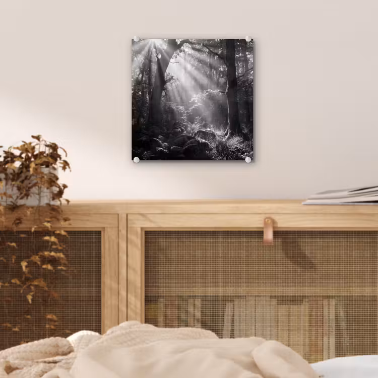 Bos - Lichtstralen - Natuur - Zwart-wit plexiglas 5mm klein -sfeer4