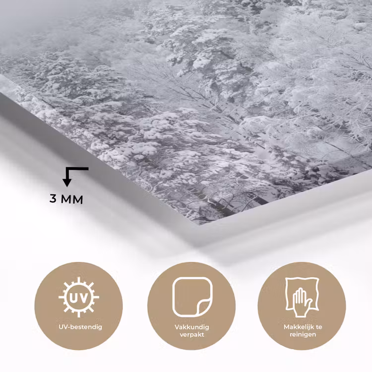 Bos - Sneeuw - Winter - Natuur - Wit plexiglas 5mm klein -sfeer2