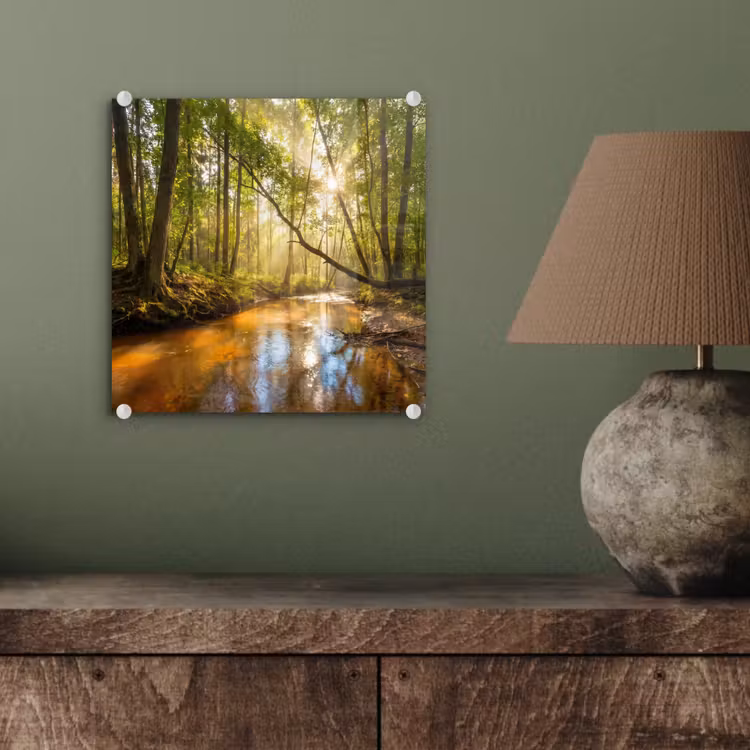 Bos - Beek - Zonlicht - Natuur - Groen plexiglas 5mm klein -sfeer3