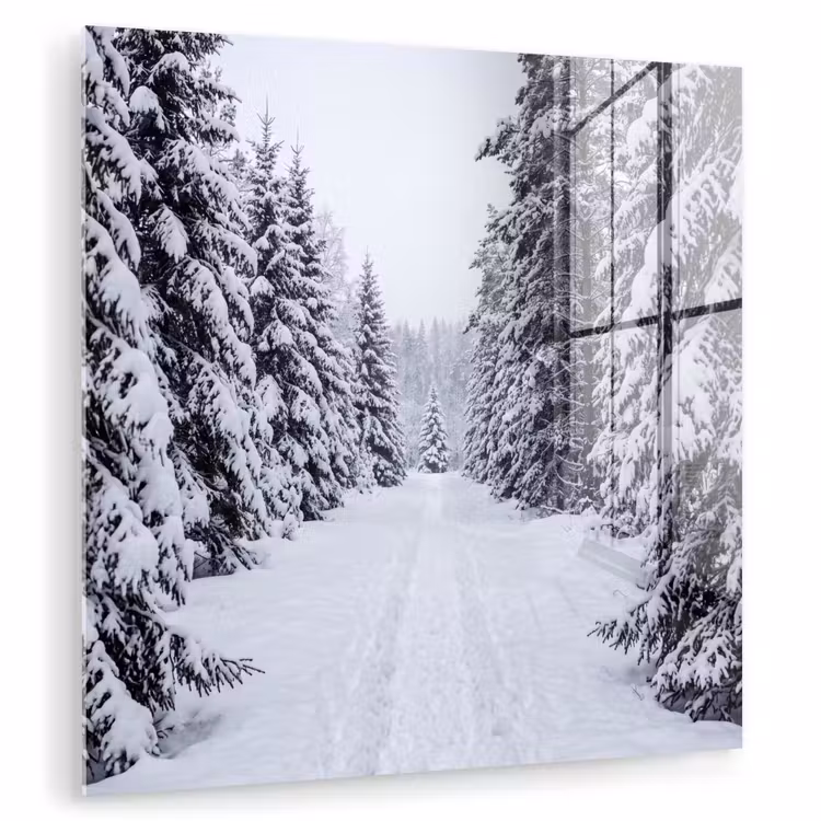 Bos - Winter - Sneeuw - Pad - Natuur plexiglas 5mm klein -zzzproduct_nieuw