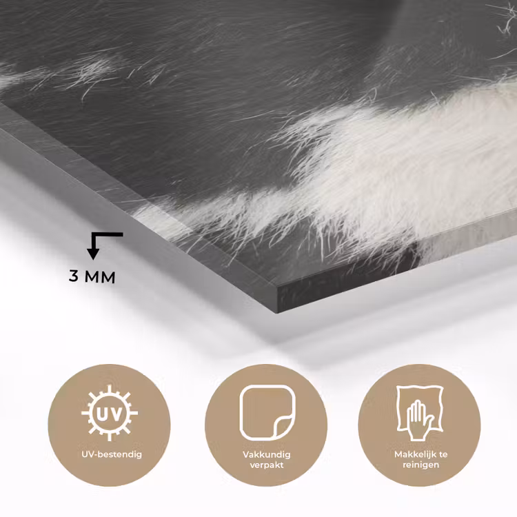 Bont - Textuur - Zwart - Wit plexiglas 5mm klein -sfeer2