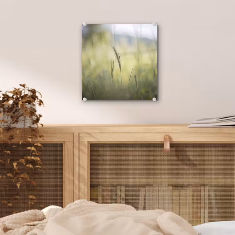 Graan - Aar - Natuur - Groen - Detail plexiglas 5mm klein -sfeer4