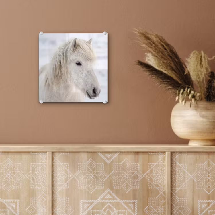 Paard - Kop - Winter - Dieren - Wit plexiglas 5mm klein -sfeer5