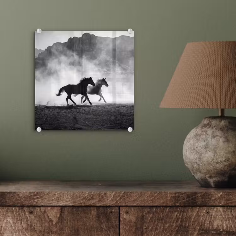 Paard - Ren - Stof - Zwart-wit - Dieren plexiglas 5mm klein -sfeer3
