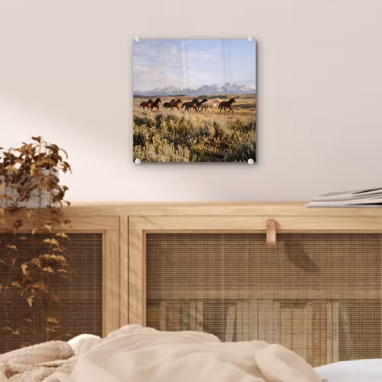 Paarden - Kudde - Bergen - Vrijheid - Wild plexiglas 5mm klein -sfeer4