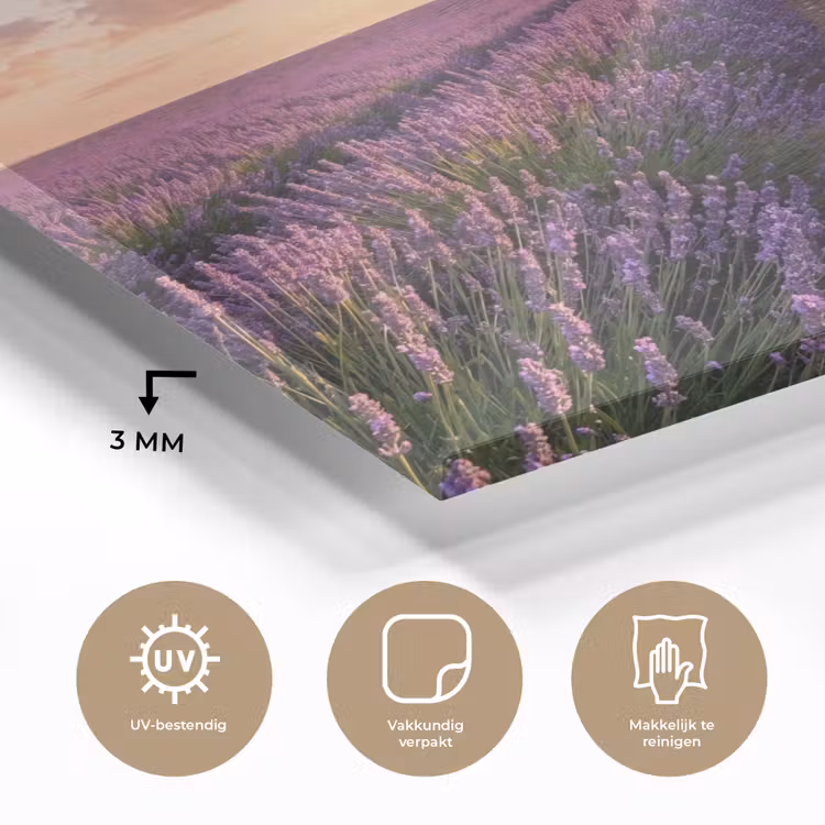 Landschap - Lavendelveld - Paars plexiglas 5mm klein -sfeer2