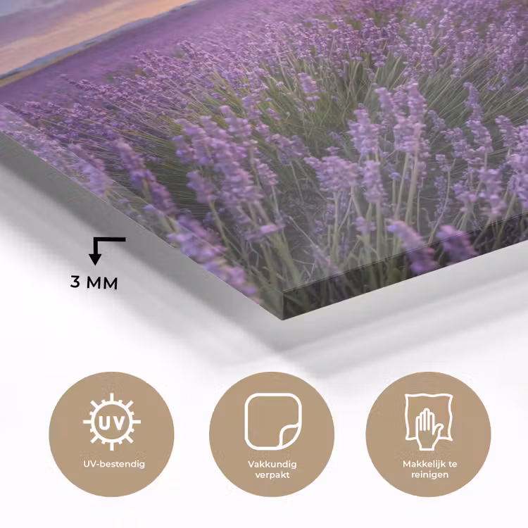 Lavendel - Veld - Natuur - Paars plexiglas 5mm klein -sfeer2