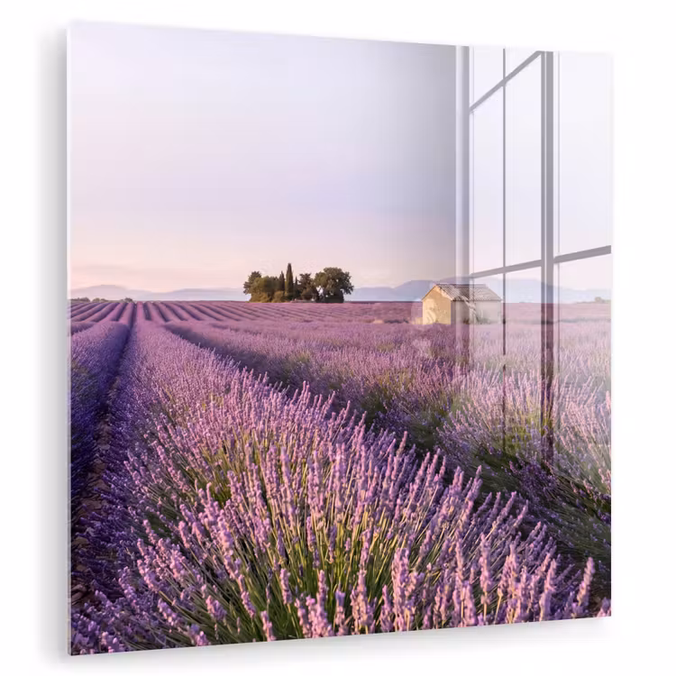 Lavendel - Landschap - Sereen - Paars plexiglas 5mm klein -zzzproduct_nieuw