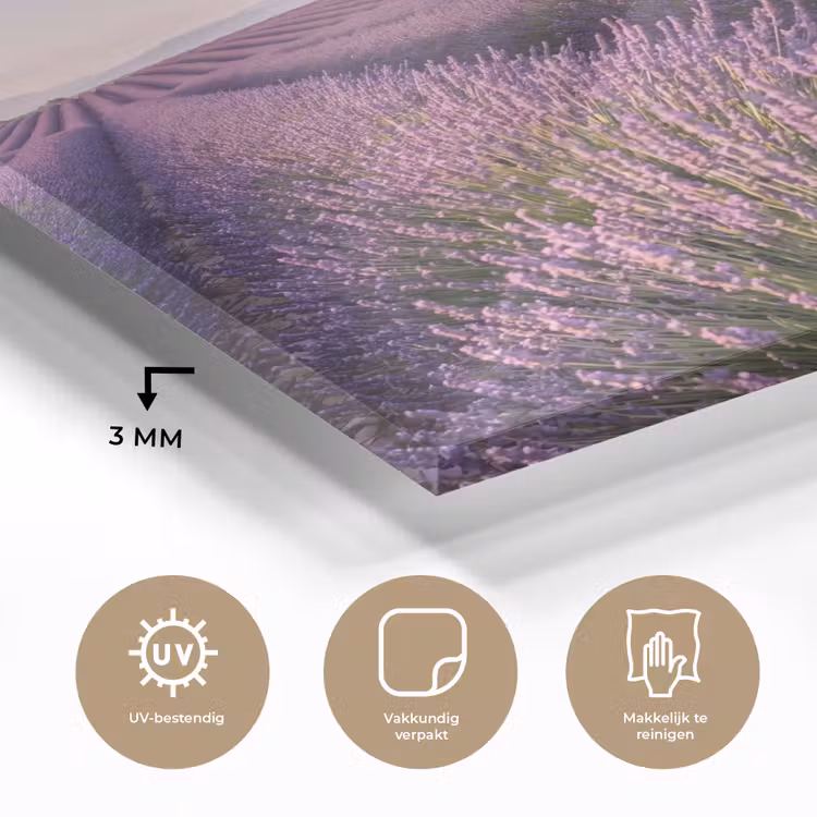 Lavendel - Landschap - Sereen - Paars plexiglas 5mm klein -sfeer2