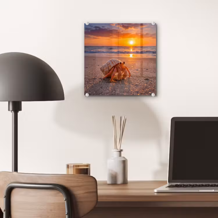 Kreeft - Strand - Natuur - Zonsondergang - Oranje plexiglas 5mm klein -sfeer6