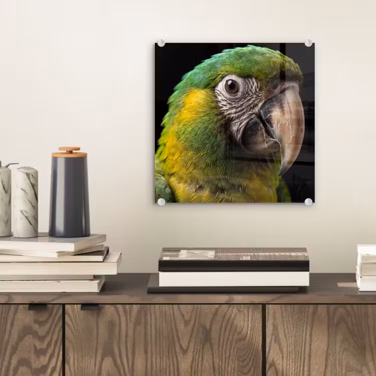Ara - Portret - Groen plexiglas 5mm klein -sfeer1