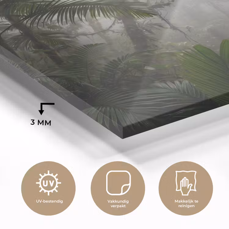 Natuur - Jungle - Mist - Groen - Bladeren plexiglas 5mm klein -sfeer2