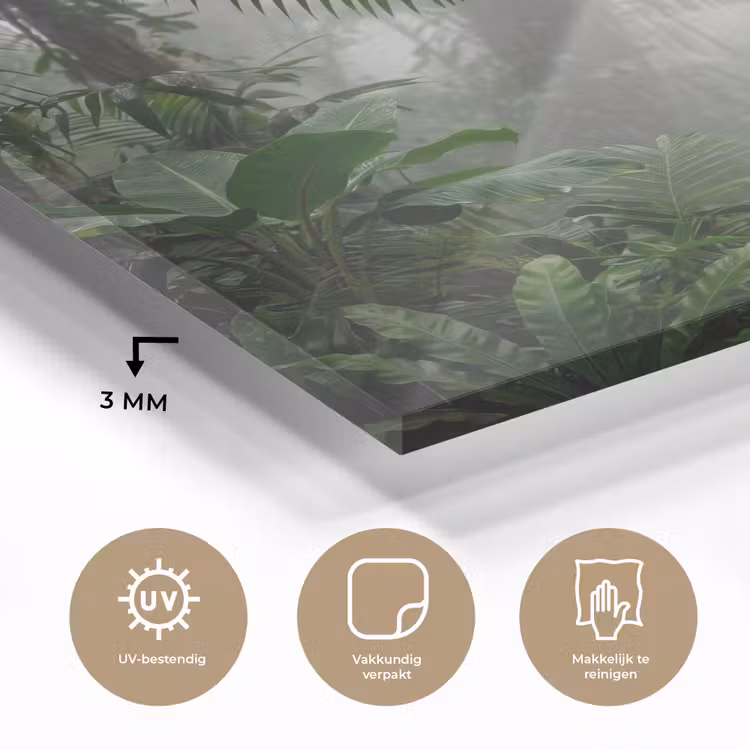 Natuur - Jungle - Mist - Tropisch - Groen plexiglas 5mm klein -sfeer2