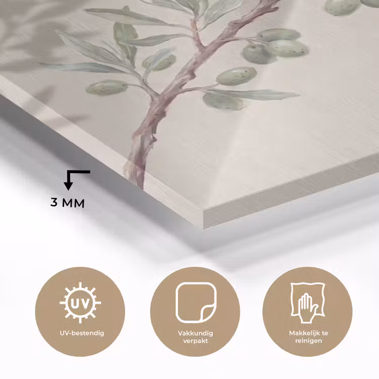 Olijftak - Bladeren - Natuur - Groen - Beige plexiglas 5mm klein -sfeer2