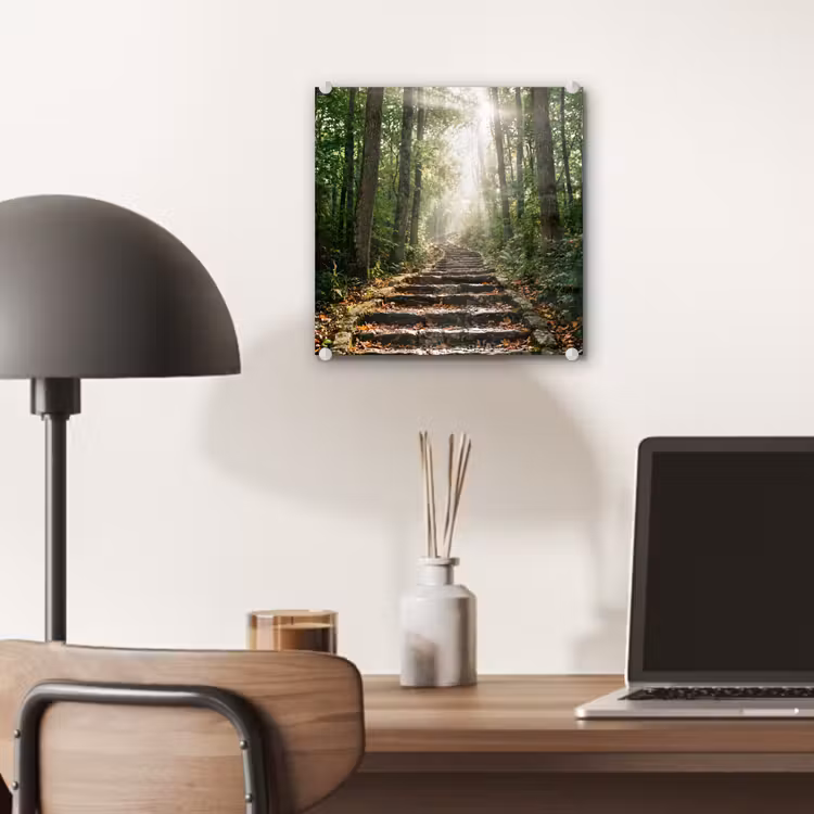 Stenen - Trap - Bos - Natuur plexiglas 5mm klein -sfeer6