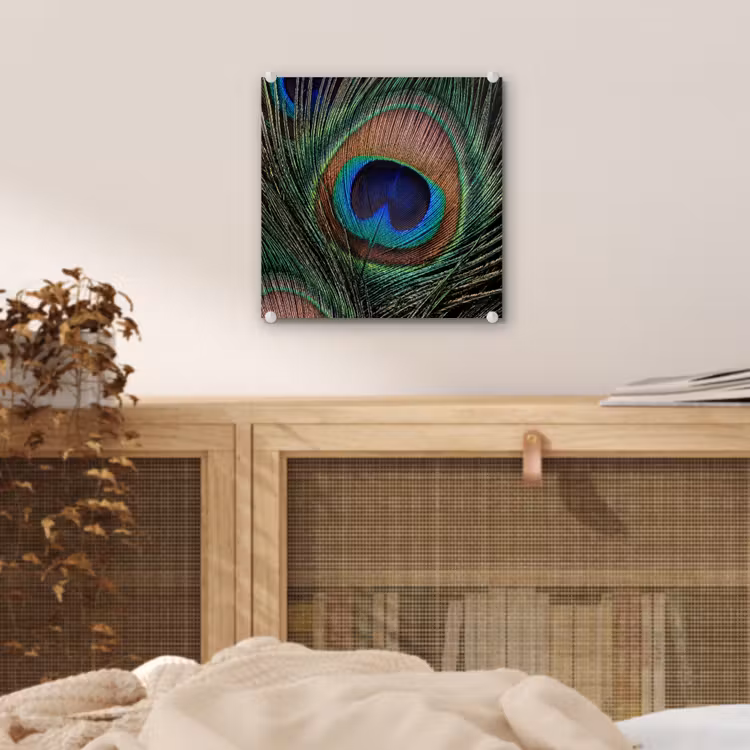 Pauwenveren - Klassiek - Groen plexiglas 5mm klein -sfeer4