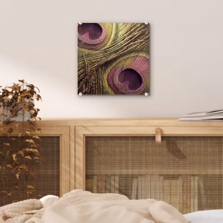 Pauw - Veren - Paars - Groen plexiglas 5mm klein -sfeer4