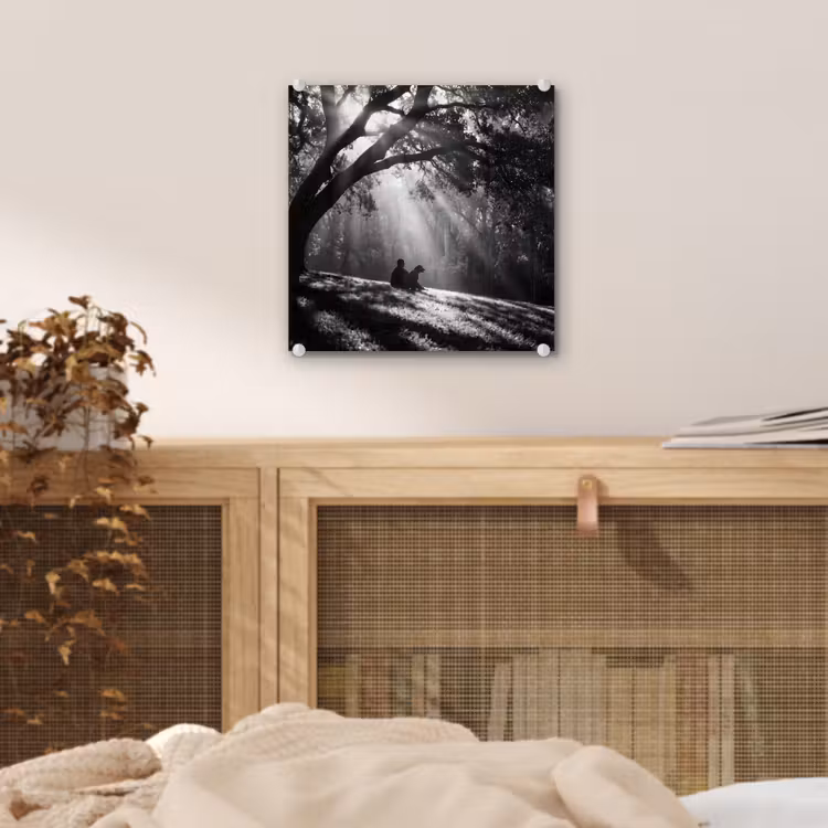 Mens - Hond - Natuur - Zwart-wit - Silhouet plexiglas 5mm klein -sfeer4