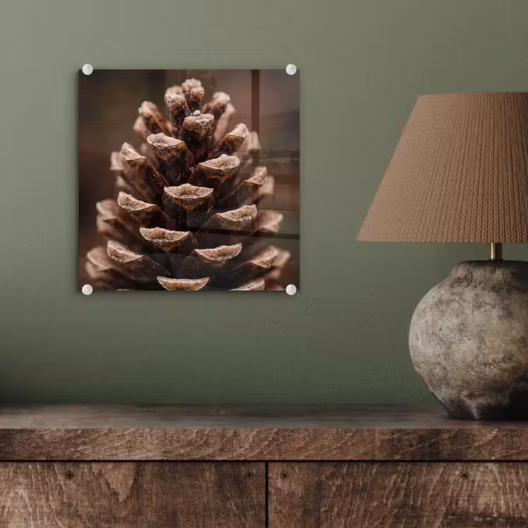 Dennenappel - Bos - Herfst - Bruin - Sfeervol plexiglas 5mm klein -sfeer3