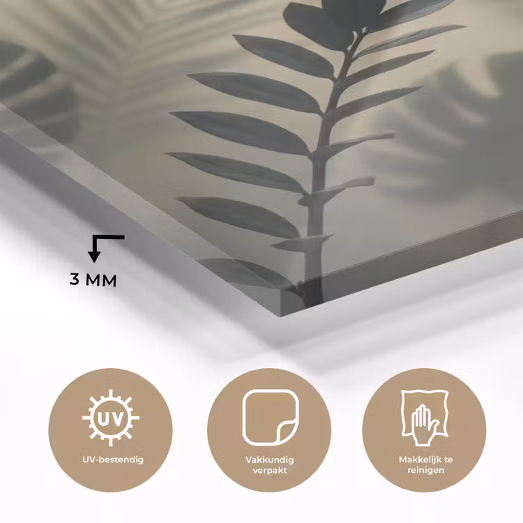 Planten - Bladeren - Schaduwen - Groen - Modern plexiglas 5mm klein -sfeer2